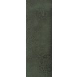 Nica